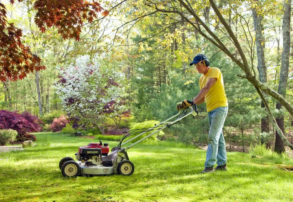 Man mowing a lush green lawn surrounded by trees, showcasing residential lawn mowing and lawn care services.